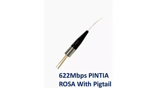 622Mbps PINTIA ROSA 帶尾纖